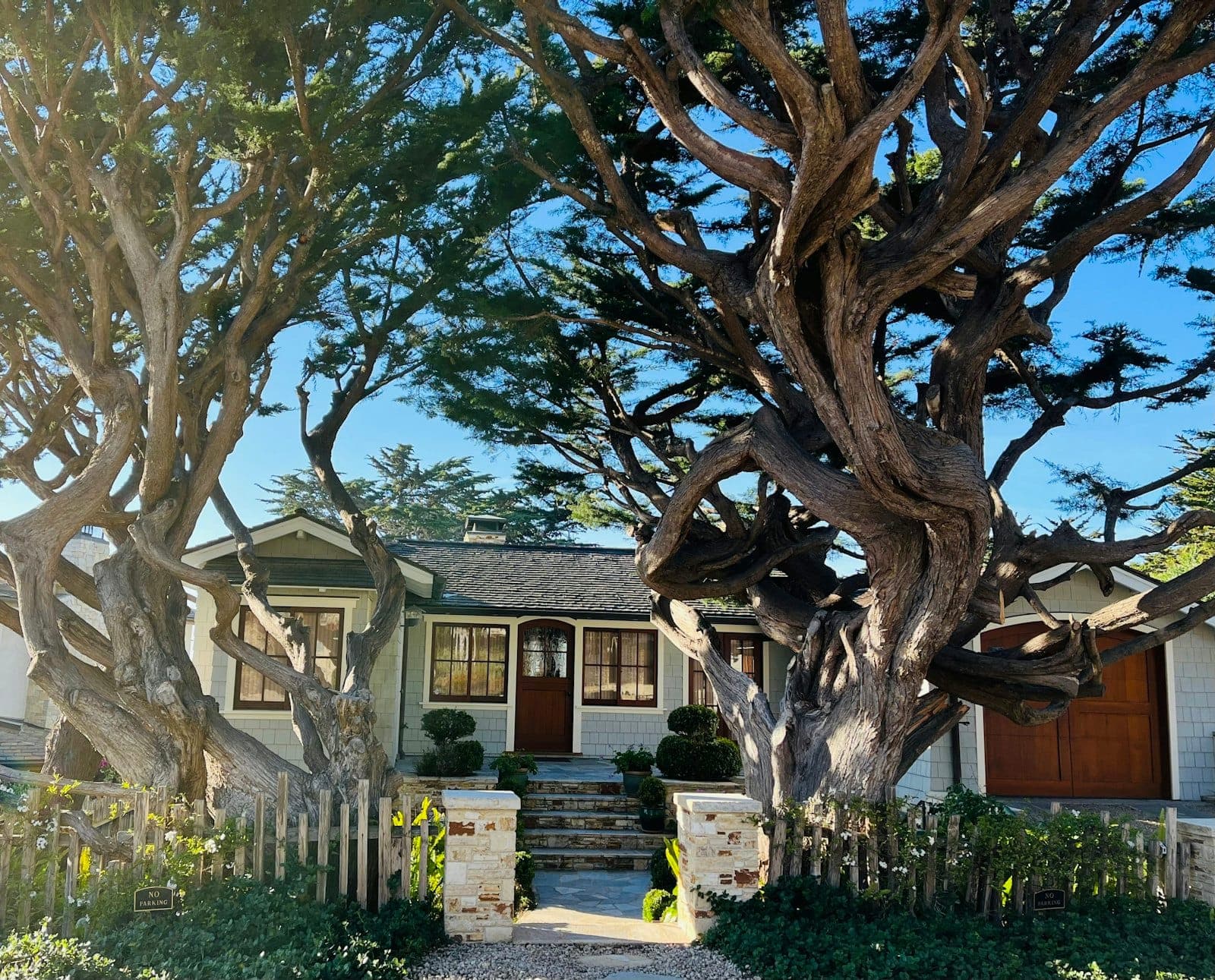 Stock concept image of a home set behind a large mature tree with lit windows at dusk — not an actual Cali Craft Renovations project