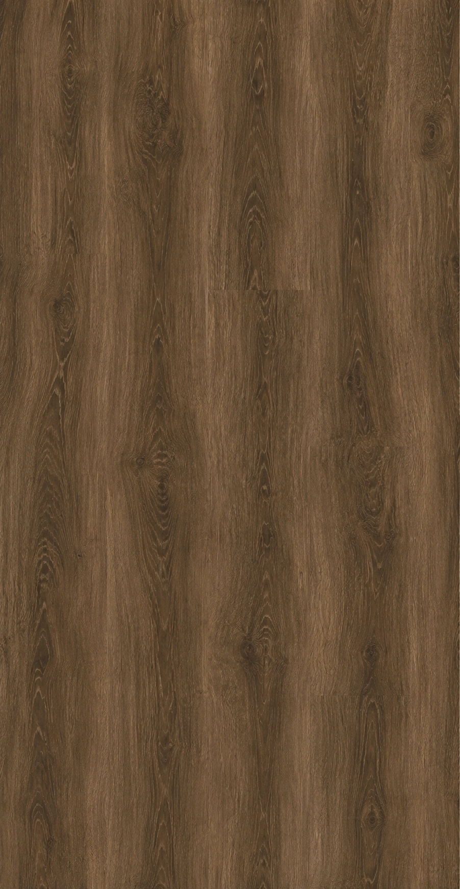 download - 2026-06-09T231242