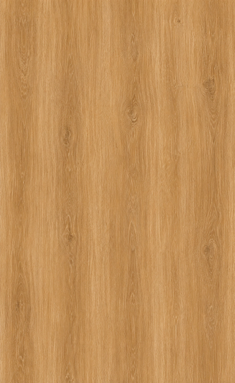 download - 2026-06-09T233927