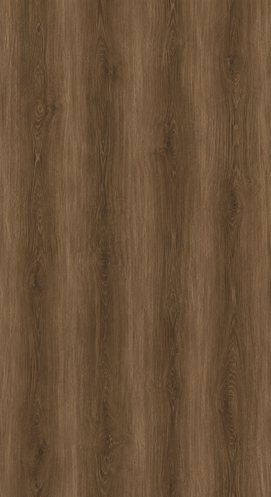 download - 2026-06-09T234205