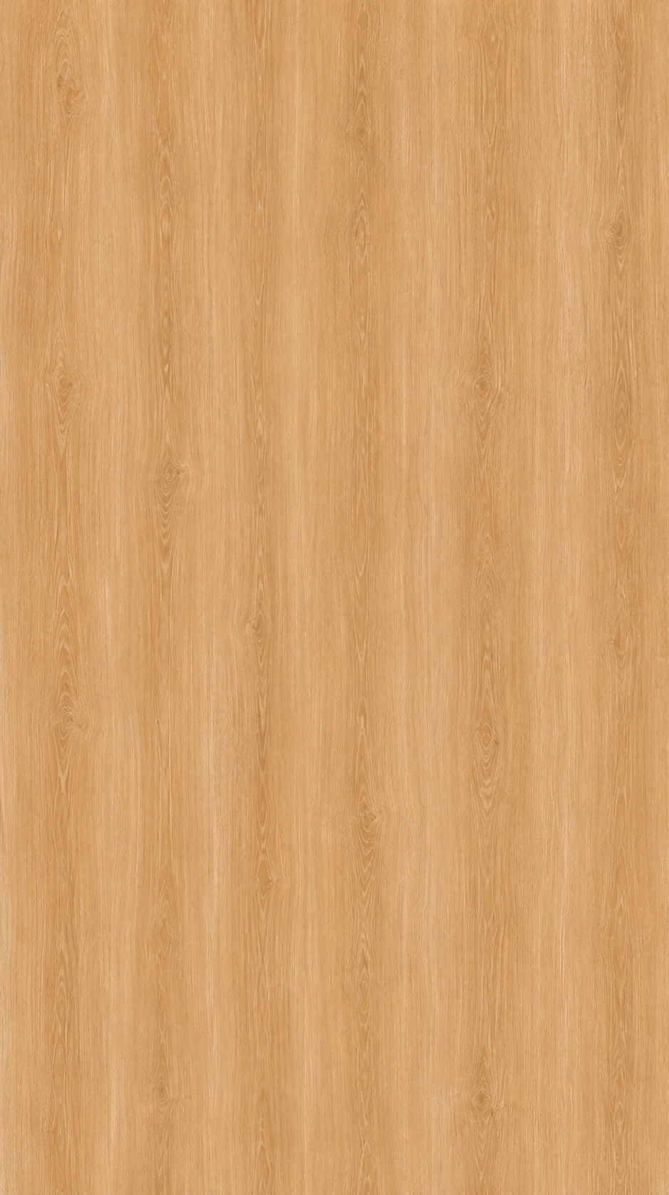 download - 2026-06-09T234241